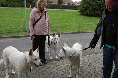 Titte´s Kia møder efter 3 år sin søn Rolf og datteren Snehvide for første gang, og glæder sig over at 