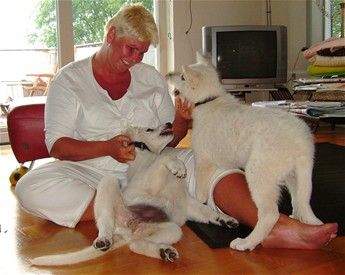 Pelspleje er med til at sikre et tillidsfuldt forhold mellem hund og ejer, og er en vigtig del af socialiseringen af hunden.