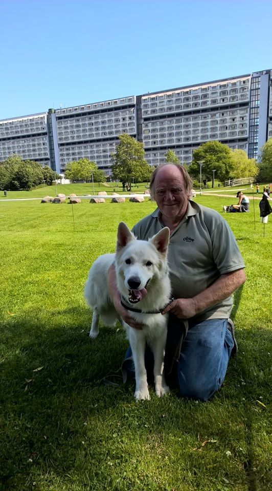 Dingo og farmand hygger sig i Byparken sommeren 2019